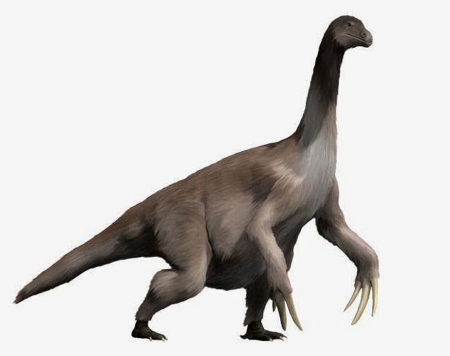 https://es.wikipedia.org/wiki/Therizinosaurus_cheloniformis#/media/Archivo:Therizinosaurus_NT.jpg